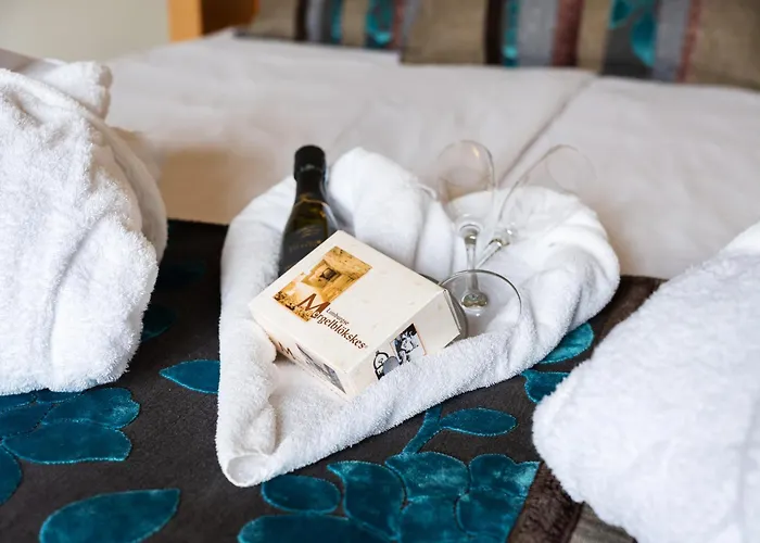 法尔肯堡别墅酒店 酒店